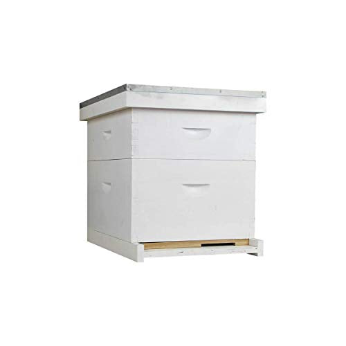 Complete 10-Frame Beekeeping Starter Kit – Painted Langstroth Hive with 5 Wax-Coated Frames, Jacket, Veil, Gloves, Smoker & Hive Tool – Nuc-Ready Wooden Hive Box (White, 1 Deep - 1 Medium) - size: 1 Deep - 1 Medium