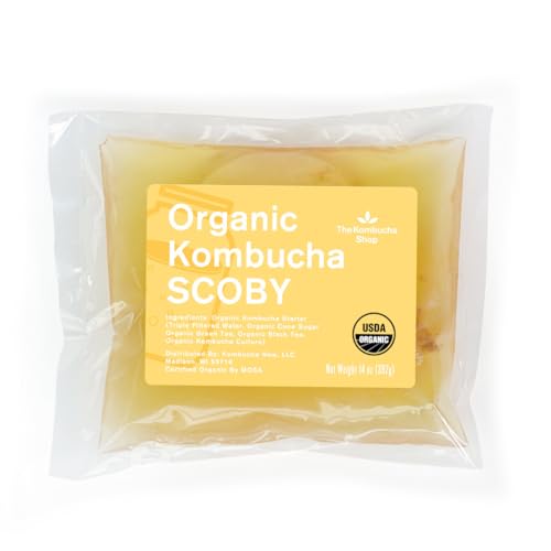 100% Organic SCOBY Kombucha Starter Kit - 100% Guaranteed to Brew - Fresh, Live Culture with Starter Liquid - The Kombucha Shop - size: 14 Ounce (Pack of 1)