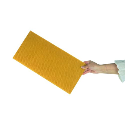 Beehive Waxed Coated Foundation Sheet 20pcs Deep Foundation 8-1/2-Inch Bee Waxed Foundation Sheets for Bee Frame for Beekeeping Supply (8-1/2-Inch) - size: 8-1/2-Inch