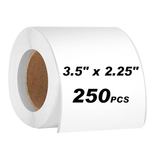 250pcs 3.5 x 2.25 Inch Blank Name Tag Stickers for Classroom, Removable Freezer Labels for Storage Bins Jars Food Containers Box Easy Peel Off Tear Resistant No Residue Moving Labels to Write On