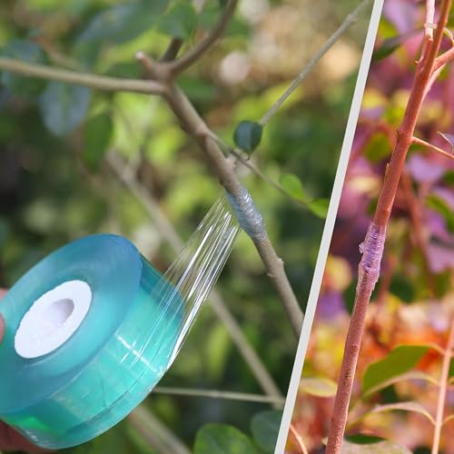 4 Pcs Grafting Tape for Fruit Trees,Garden Plant Nursery Tape Stretchable Self Adhesive Membrane Clear Floristry Film,Plant Repair Budding Tape