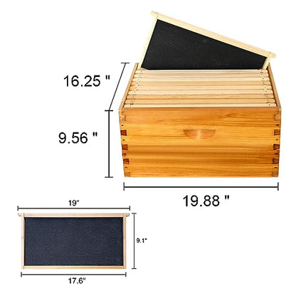 Honey Lake 10-Frame Langstroth Beehive Starter Kit, Beeswax Coated Complete Bee Hive Includes 2 Deep Brood Boxes & 2 Medium Super Bee Boxes with Beehive Frames and Foundations for Beekeepers (4 Layer) - size: 10-Frame 4-Layer