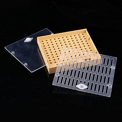 Queen Bee Grafting Tool 20x16x13cm Beekeeping Queen Breeding Cup Box Cell Rod Blocks Caps Hair Rollers Cages Beekeeper Equipment