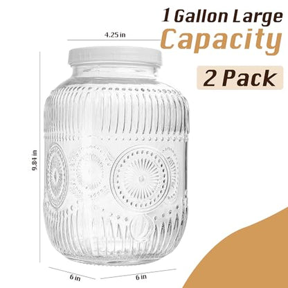 Amzcku 2 Pack 1 Gallon Glass Jar with Lid Wide Mouth, 128 OZ Large Mason Jar with Airtight Screw Lid and Handle, Glass storage containers, Cookie, Candy, Kombucha and fermention