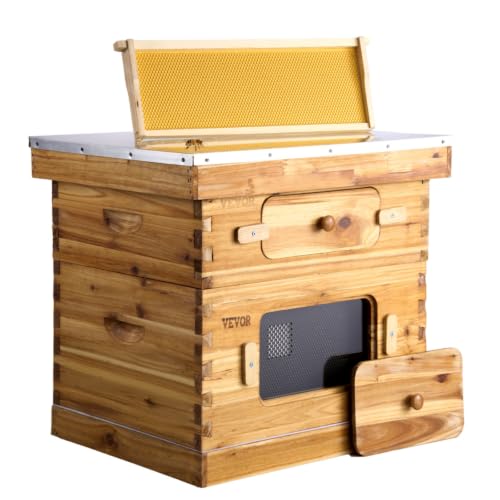 VEVOR Bee Hive 10 Frame Bee Hives Starter Kit, Beeswax Coated Fir Wood, 1 Deep + 1 Medium Bee Boxes Langstroth Beehive Kit, Transparent Acrylic Windows with Foundations for Beginners Pro Beekeepers - size: Deep Box x 1+ Medium Box x 1