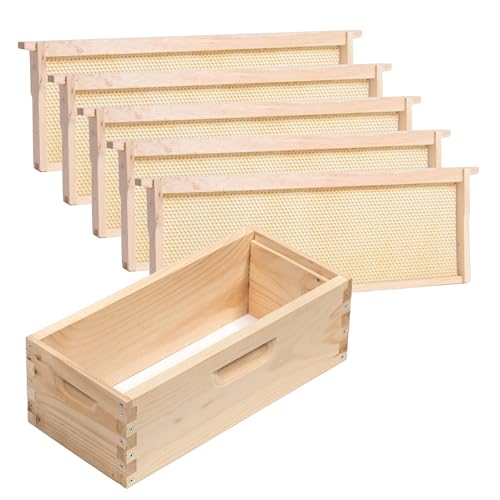 Stoney Acres Beekeeping Medium Nuc Box, Assembled Super or Brood Box with Plastic Foundation Frames for 5 Frame Honeybee Hives, Amish Made