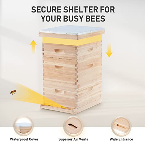 CO-Z Bee Hive Boxes Starter Kit, Langstroth Beehive for Bee Keeping, 3 Layer Bee House with 10 Medium and 20 Deep Frames & Foundations, Beekeeping Supplies with Plastic Queen Excluder and Nails
