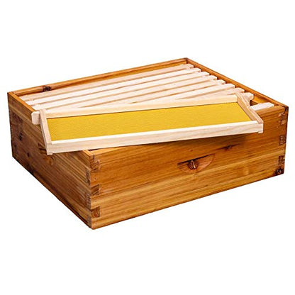 10-Frame Beehive Box Langstroth Medium Super Bee Box for Sale Wax Coated Bee Hives Includes Wooden Frames & Waxed Foundations (Assembled) - style: Assembled