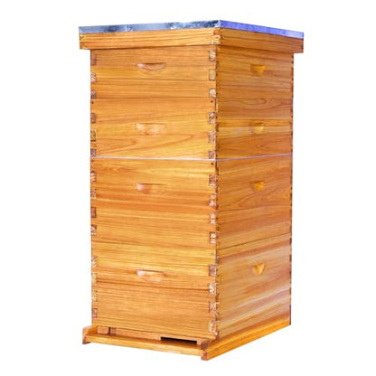 POLLIBEE 10 Frame Langstroth Beehive Beeswax Coated Complete Bee Hives Includes Bee Frames and Waxed Foundations (2 Deep Boxes & 2 Medium Boxes) - size: 4-Layer