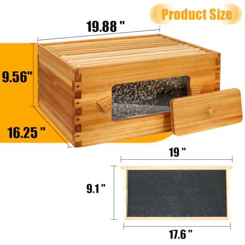 Honey Lake 10 Frame Langstroth Beehive Starter Kit with Windows - 2 Deep Brood Boxes & 2 Medium Super Boxes Dipped in Beeswax, Includes Frames & Wax Foundations - size: 4 Layers