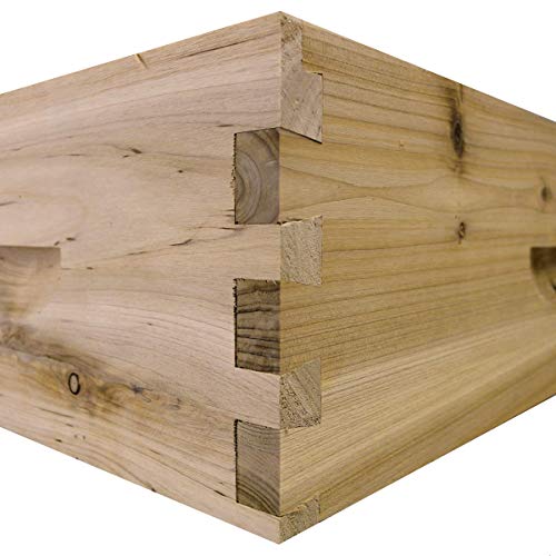 8 Frame Medium Super Box w/Dovetail Joints (Unassembled w/Frames and Foundations)