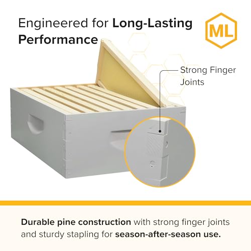 Mann Lake 8-Frame Medium Super Kit, Fully Assembled 6⅝" Super Box with 8 Durable Frames & Beeswax-Coated Plastic Foundation for Honey Storage, Beekeeping and Hive Expansion, Made in USA, Painted - color: Painted Deep Hive Kit