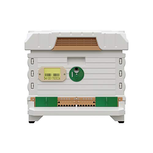 Apimaye Ergo Insulated 10 Frame Bee Hive Set [NO Frames Included] (Single Hive, White Body Green Entrance) - color: White Body Green Entrance
