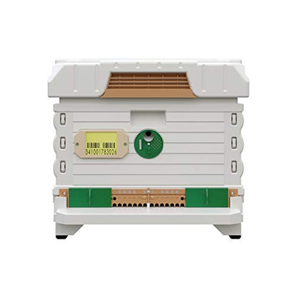 Apimaye Ergo Insulated Bee Hive Set with Plastic PRO Frames with Premier Double Wax Foundations (Single Deep) (White Body Green Entrance)