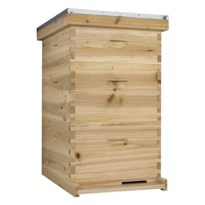 Starter 10 Frame Beehive Kit - Includes 2 Hive Bodies, 1 Super Box, Pine Frames, Wax Coated Foundations and More
