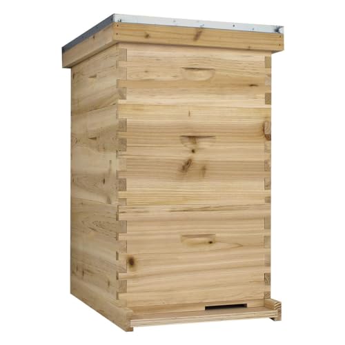 Starter 10 Frame Beehive Kit - Includes 2 Hive Bodies, 1 Super Box, Pine Frames, Wax Coated Foundations and More