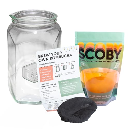 Craft A Brew - Kombucha Basic Starter Kit - For Home Brewing - Includes Fresh Kombucha SCOBY Starter, 1 Gallon Fermenting Jar, Cloth Cover, Brewing Guide - color: Basic Kit