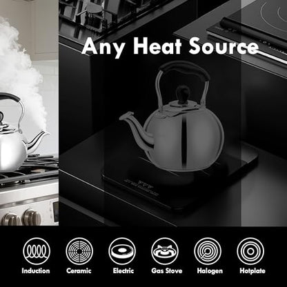 Stovetop Tea Kettle with Whistle - 2.0 Quart 18/8 Stainless Steel Tea Pot for Gas Stove & Electric Coil Stovetop, Food-Safe, Easy-Pour Spout, Mirror Polished Classic Water Kettle