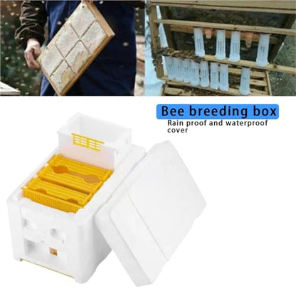 Nuc Box for Bees Queen Bee Breeding Box Bee Rearing Mating Box Foam Beehive Pollination Box Beekeeping Tools Breeding Case Beekeeping Equipment