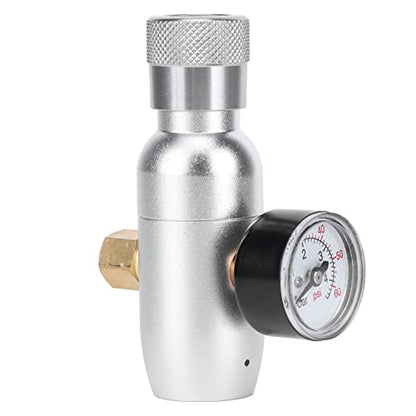 Fdit Portable Beer Dispenser Tap Kit with CO2 Mini Regulator for 64oz 128oz Growlers Stainless Steel Brewing Equipment Homebrew Kegging Accessories