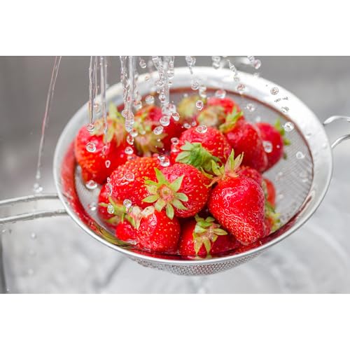 HIC Kitchen Fine Double Mesh Strainer, 18/8 Stainless Steel, 5-Inch, For Sifting Baking Ingredients, Straining, And Draining Soups And Sauces, Set of 2 - size: Double Mesh, 5-Inch, Set/2