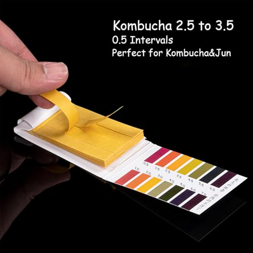 1.5 Gallon Glass Brew Jar Kit for Kombucha & Jun - With Stainless Steel Spigot, pH Test Strips, Temperature Strip, Cloth Cover, Funnel with Filters | Perfect for Continuous Brewing - style: Kombucha Brew Kit with 1.5gallon Jar