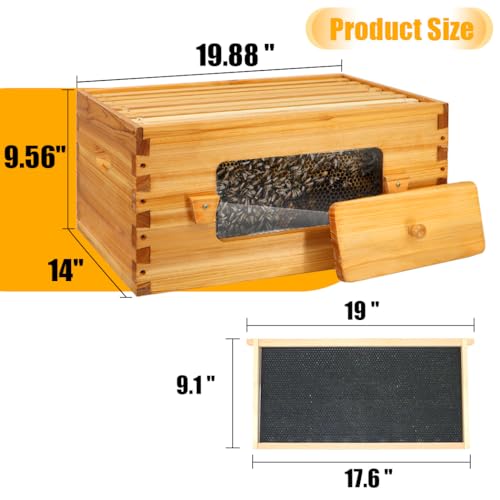 Honey Lake Bee Hive with Windows, 8 Frame Langstroth Complete Beehive Starter Kit Dipped in Beeswax with Beehive Frames and Waxed Foundations (1 Deep Brood Bee Hive Box & 1 Medium Super Bee Box)