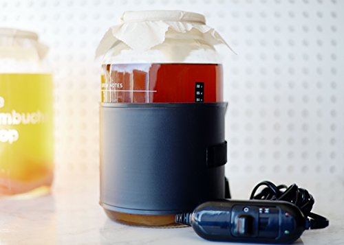 The Kombucha Shop, Kombucha Starter Kit with Premium Heating Wrap