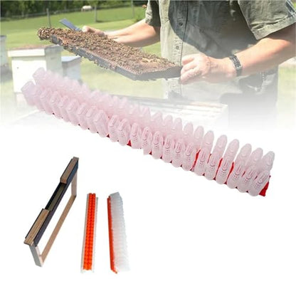 Queen Bee Cage 2pcs Queen Banking Cell Cage with Transport Box Kit Bee Moving Isolator Protection Case Shipping Bar Beekeeping Tools for Beekeeping Supplies(Bar) - color: Bar