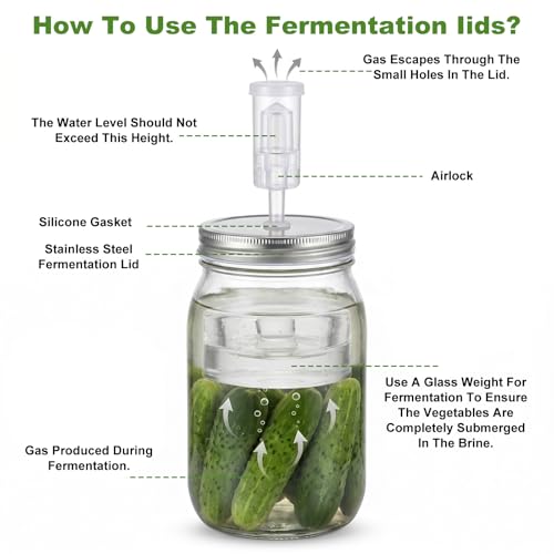 Fermentation Kit for Wide Mouth Mason fermentation Jars, 4 Stainless Steel Fermentation Lids, 4 Glass Fermentation Weights, 1 Silicone Tong, 1 Sauerkraut Pound, 1 Wooden Handle Brush Cleaner