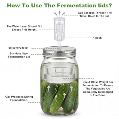 Fermentation Kit for Wide Mouth Mason fermentation Jars, 4 Stainless Steel Fermentation Lids, 4 Glass Fermentation Weights, 1 Silicone Tong, 1 Sauerkraut Pound, 1 Wooden Handle Brush Cleaner