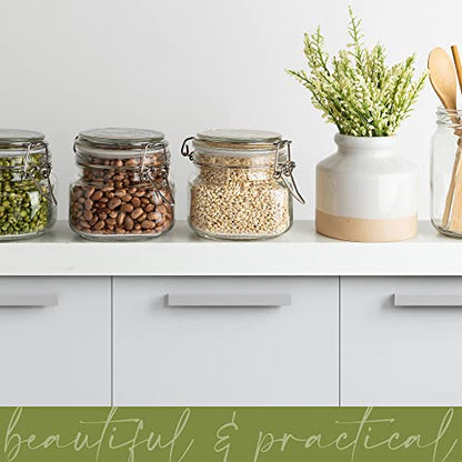 Glass Jars with Airtight Lids Food Storage Jars Leak Proof Canisters with Clear Preserving Seal Wire Clip Fastening for Kitchen Canning Pickling [16 oz]