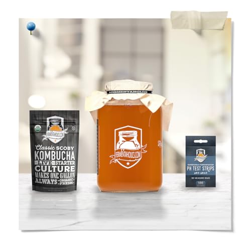 Fermentaholics Kombucha & Fermentation pH Test Strips – Instant Read pH Strips Dispenser for Brewing & Fermentation, pH Range 0–6 - size: pH Test Sticks