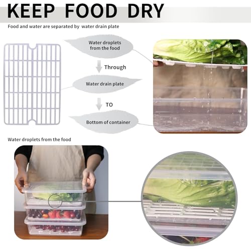 77L Food Storage Container, (3-Pack) Plastic Food Containers with Removable Drain Plate and Lid, Stackable Portable Freezer Storage Containers - Tray to Keep Fruits, Vegetables, Meat and More