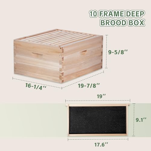 10 Frame Bee Hive, Compelte Bee Hive Starter Kit Includes 1 Deep Brood Honey Bee Hives Box, 1 Medium Super Bee Box with Beehive Frames and Foundation Sheets - size: 2-Layre