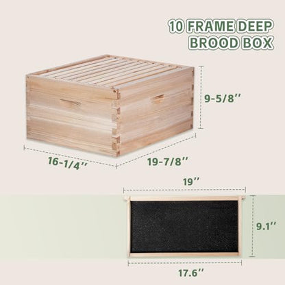 10 Frame Bee Hive, Compelte Bee Hive Starter Kit Includes 1 Deep Brood Honey Bee Hives Box, 1 Medium Super Bee Box with Beehive Frames and Foundation Sheets - size: 2-Layre