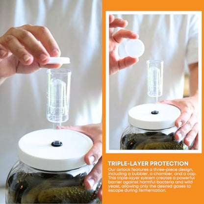 FastRack 1 Gallon Glass Jar Fermentation Kit with Econolock Airlock and North Mountain Supply 1lb Bentonite Clay