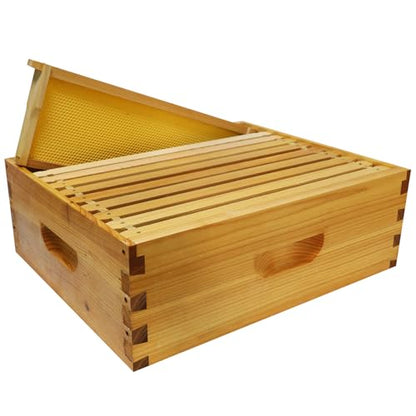 10-Frame Langstroth Medium Super Bee Hive Box, Dipped in Beeswax, Includes Wooden Frames & Waxed Foundations, Unassembled for Beginner Beekeepers - style: Medium Box