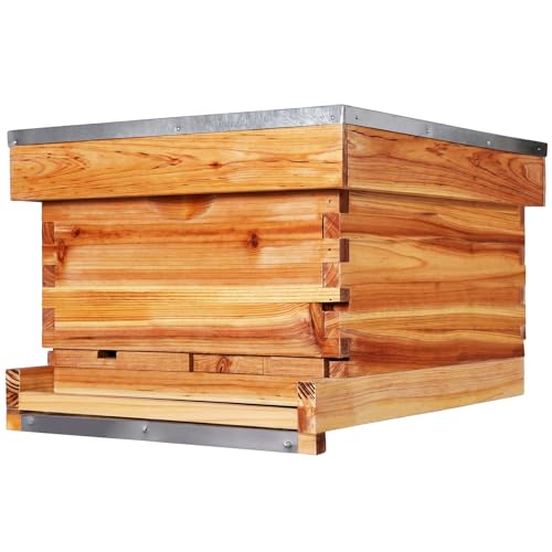 AceOrbit 10 Frame Bee Hive Kit with Wax-Coated Wooden Box Telescoping Cover Screened Bottom Board Beekeeping Supplies with Pull-Out Plastic Base and Entrance Reducer