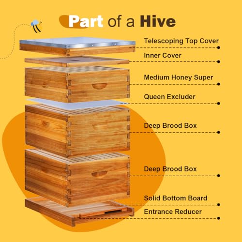 10 Frame Langstroth Beehive Kit Dipped in Beeswax Bee Hives with 2 Deep Bee Box and 1 Medium Bee Hive Box with Frame and Foundation(Unassembled) - size: 3 Layer