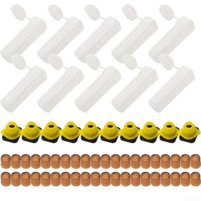 Queen Rearing Cup Kit with 100 Cell, Plastic for BEEKEEPING Cage System for Grafting-Free Larva Transfer, Complete Breeding Set for Hive Management