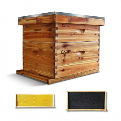 Takywep BeeCastle 10-Frame Langstroth Beehive Kit, Beeswax Coated Weatherproof Cedar Wood Beehive with 1 Deep & 1 Medium Box, Dovetail Joints, Easy Assembly, Traditional Fir Beehive No Window