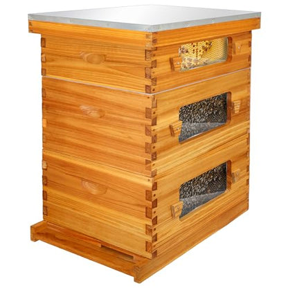 Honey Lake Bee Hive with Windows, 10 Frame Langstroth Complete Beehive Starter Kit Dipped in Beeswax with Beehive Frames and Waxed Foundations (2 Deep Brood Bee Hive Box & 1 Medium Super Bee Box) - size: 3 Layers