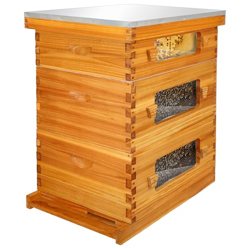 Honey Lake Bee Hive with Windows, 10 Frame Langstroth Complete Beehive Starter Kit Dipped in Beeswax with Beehive Frames and Waxed Foundations (2 Deep Brood Bee Hive Box & 1 Medium Super Bee Box) - size: 3 Layers
