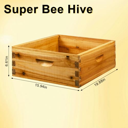 Coated Bee Hive Starter Kit, 5-Layer Langstroth Beehive & 2 Deep and 3 Medium Super Boxes, Premium 10-Frame Wood Honey Bee House with Waterproof Metal Top Cover & Queen Excluder, No Frames