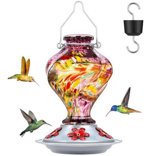 Hummingbird Feeder, BOLITE Glass Hummingbird Feeders for Outdoors Hanging, Hand Blown Twisted with Ant Moat, 5 Bee-Proof Ports, 360° Perch, Leak-Proof, 24oz, Purple, Gifts for Mom Dad Women Men - color: Purple Raspberry