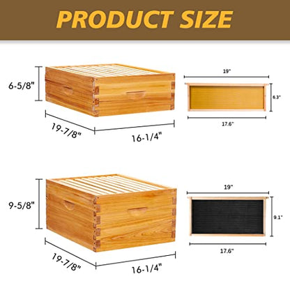 Beehive 10 Frame Bee Hives and Supplies Starter Kit, Bee Hive for Beginner, Honey Bee Hives Includes 1 Deep Brood Hive Box, 1 Bee Hive Super Box with Beehive Frames and Foundations