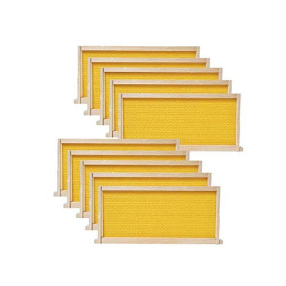BeeCastle 10-Pack Beehive Bee Frames Waxed Foundation with Complete Unassembled Commercial Frames, 6-1/4-Inch (Yellow) | medium super beehive frames with foundations - size: 10-Pack