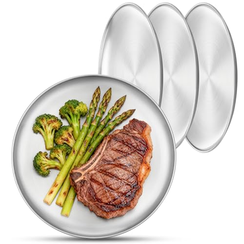 Metal Camping Plates, 4 Pack 9.1 inch Small 201 Stainless Steel Plates, Reusable Pizza Food Serving Snack Eating Salad Dishes Round Shatterproof Brushed Finish Silver Dish Oven Dishwasher Safe - size: 9.1"