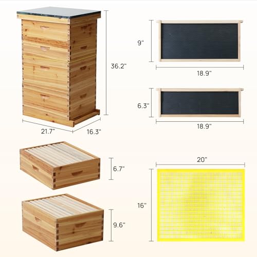 Bee Hive Box with Observation Window, 10 Frame Beeswax Coated Bee Hive Starter Kit for Beginners Beekeepers,2 Deep Box & 1 Medium Boxes - size: 3 Layer